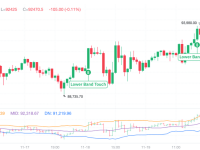 BTC 日内再创新高，后市怎么看？