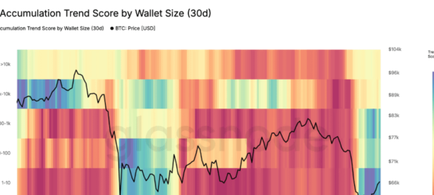 比特币新闻：比特币买家在10天内累积了259,000 BTC — Glassnode的需求分数达到其最高可能读数